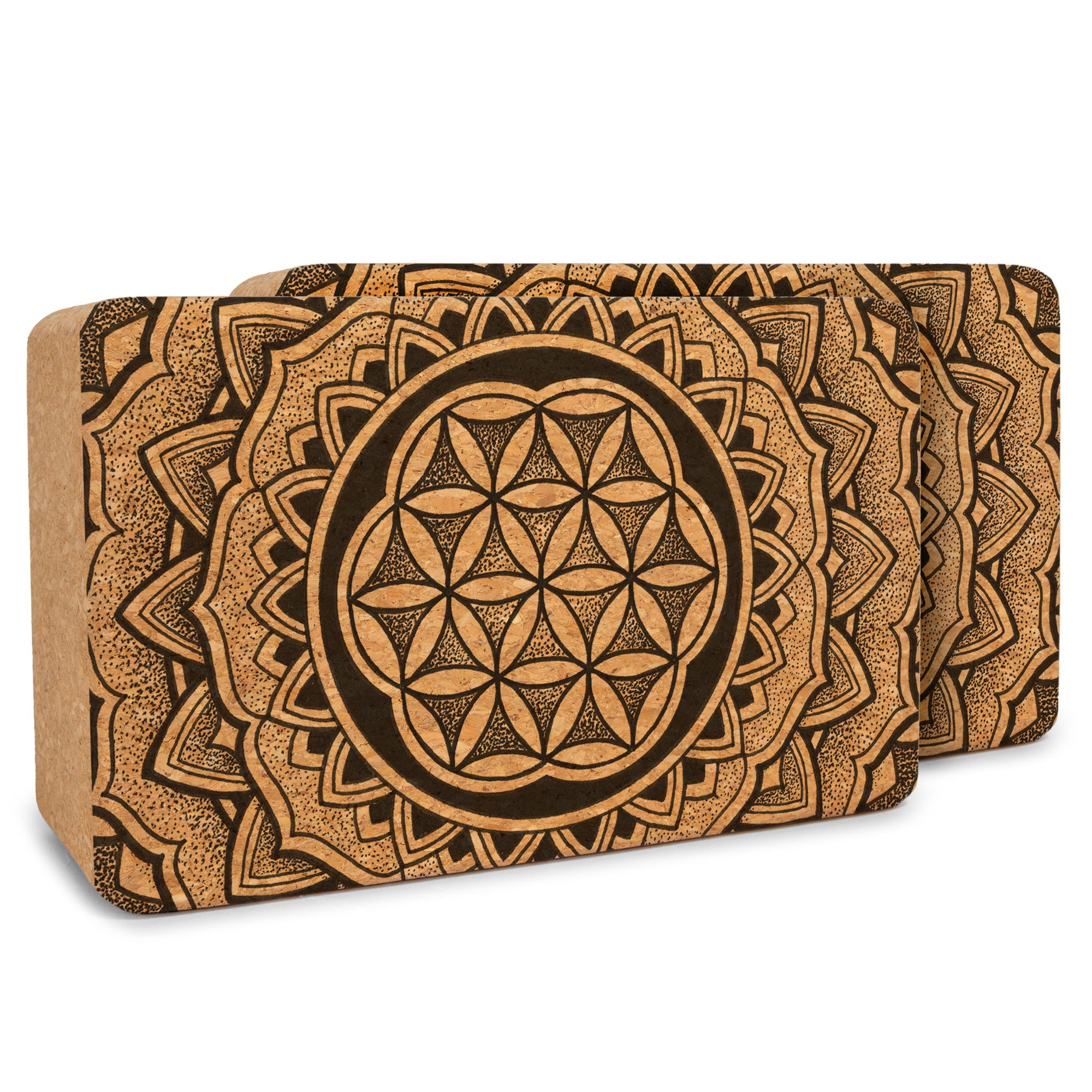 Artist Cork Yoga Block Set - Yoloha Yoga
