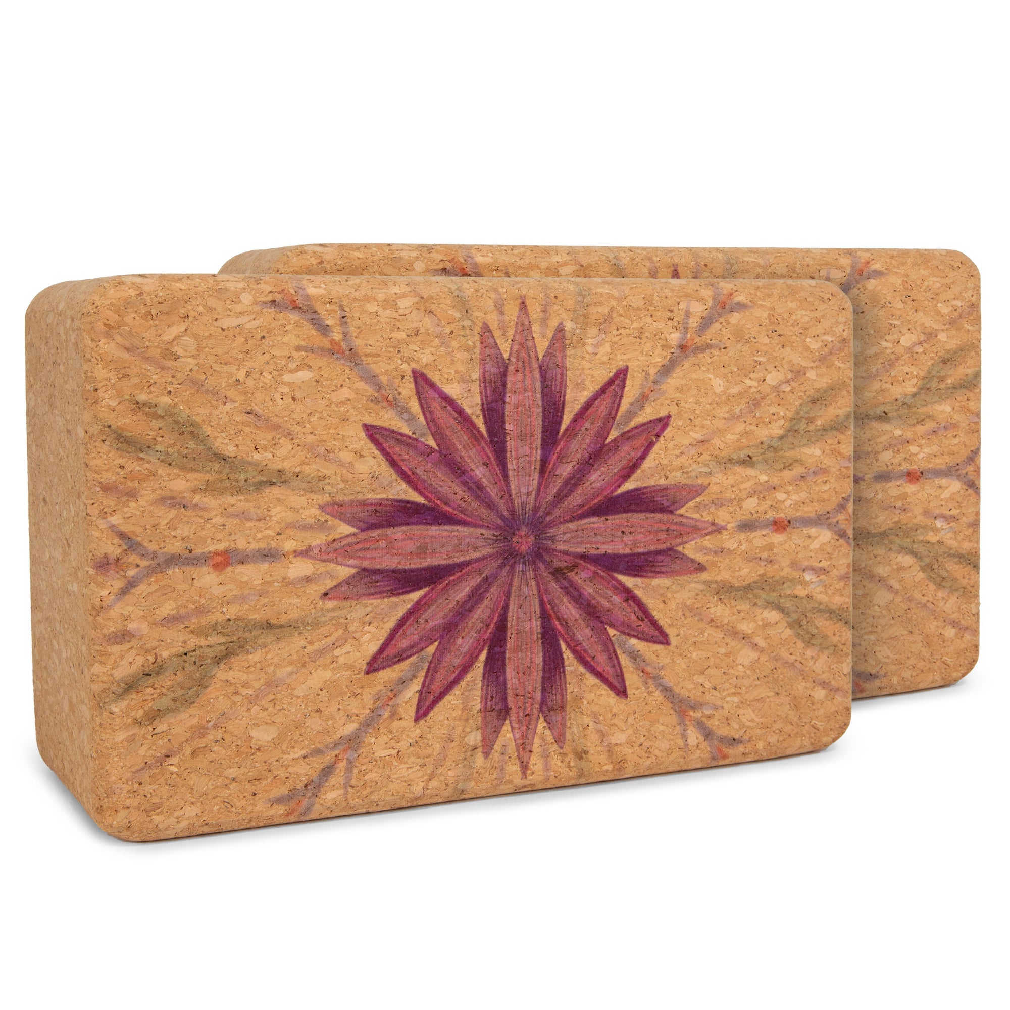 Artist Cork Yoga Block Set - Yoloha Yoga