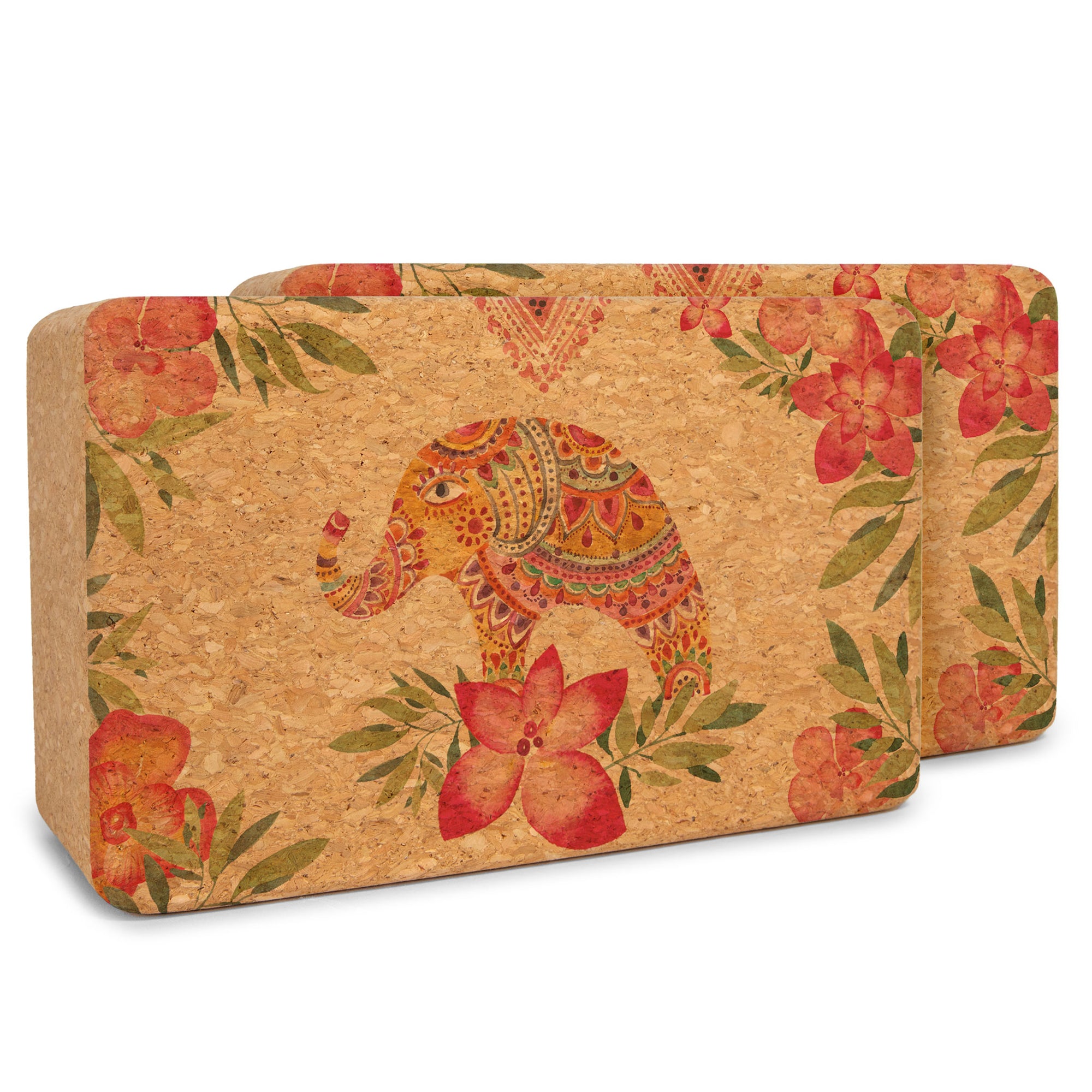 Artist Cork Yoga Block Set - Yoloha Yoga